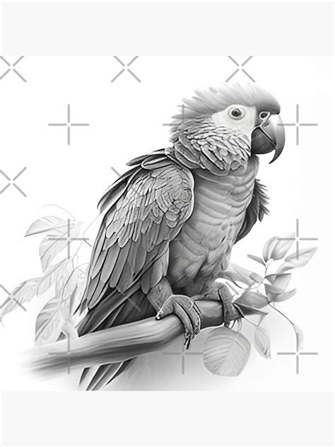 "Black and white Parrot pencil drawing" Poster for Sale by Pencil-Art ...