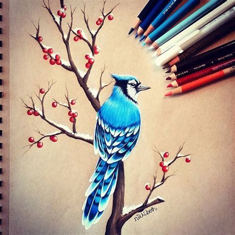 Drew a little winter blue jay. I'm snowed in right now and I FINALLY found some motivation. I ...