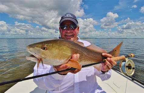 Light Tackle and Fly Fishing the Flats of Pine Island and Matlacha, Florida with Captain and ...