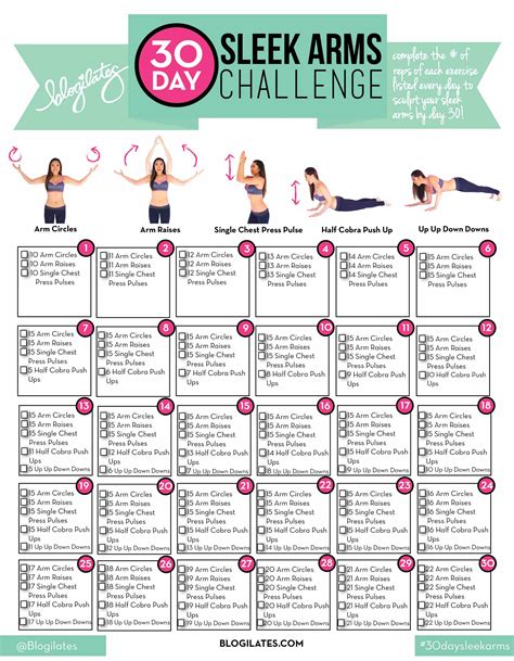 30 Day Sleek Arms Challenge