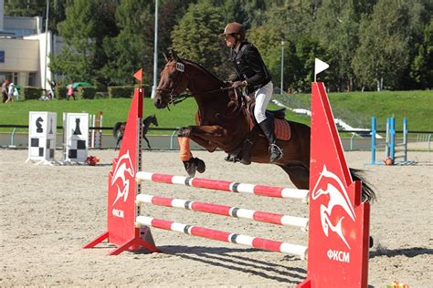 Best Arena Footing for Jumping in Horse Show | Performance Footing