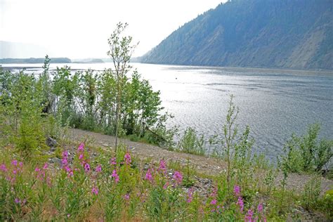 08 The Klondike River Joins The Yukon River In Dawson City Yukon