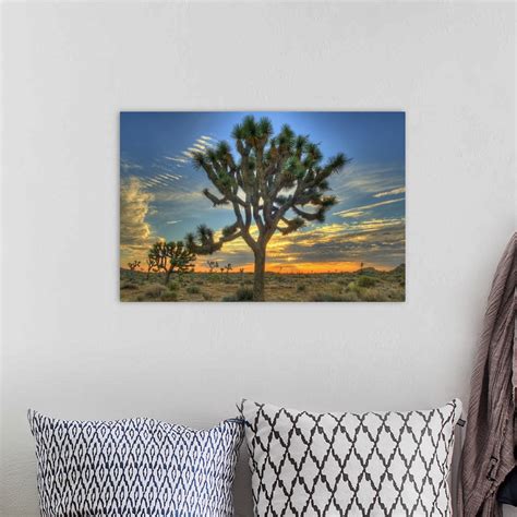 Joshua Tree at Sunrise Wall Art, Canvas Prints, Framed Prints, Wall ...