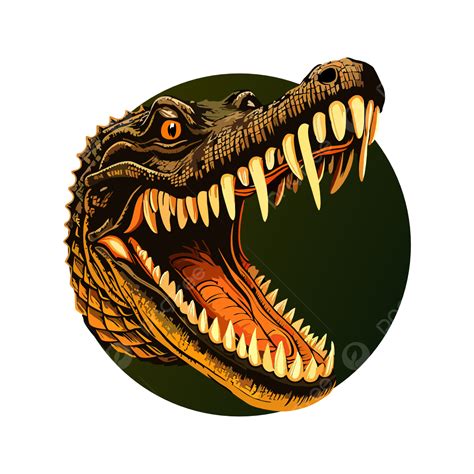 Alligator Head Logo, Alligator Design, Logo, Illustrator PNG ...