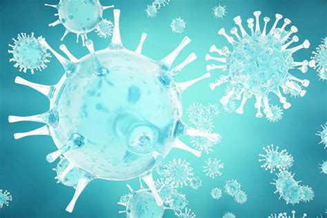 Common cold virus could kill cancer cells | WordlessTech