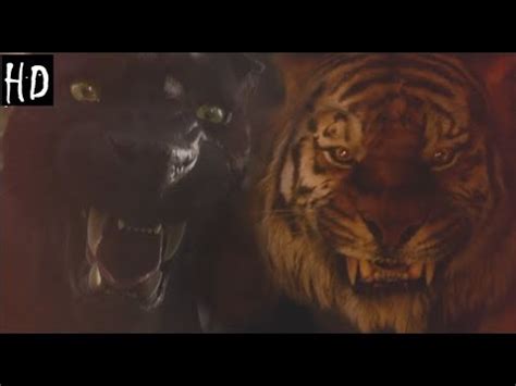 Bagheera And Shere Khan