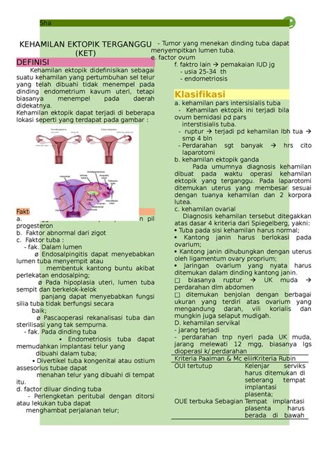 Kehamilan Ektopik Terganggu - Sha KEHAMILAN EKTOPIK TERGANGGU (KET) DEFINISI Kehamilan ektopik ...