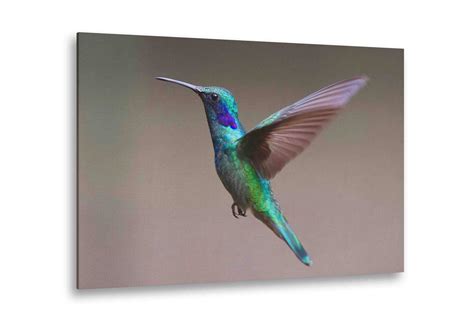 Nature Prints On Canvas | CanvasPrints.com