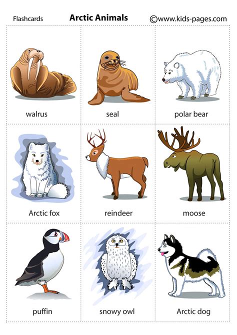 Arctic Animals Printables