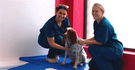 Press Preview Day at Our New Hospital - Aldgate Veterinary Practice