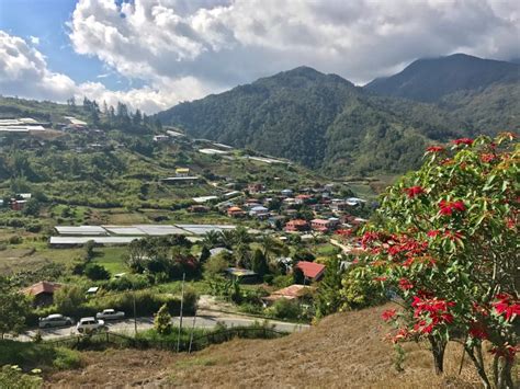 Sabah, Malaysia: A Trip to the Mountain Town of Kundasang - She Walks the World