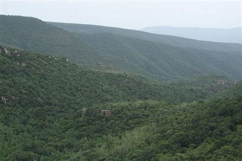 Sri Venkateswara National Park - Alchetron, the free social encyclopedia