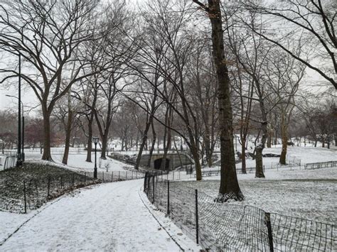 Premium Photo | Central park in winter snow new york manhattan