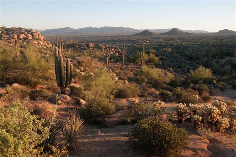 Hiking in Scottsdale: 9 Best Trails That You Should Hike | Travel + Leisure