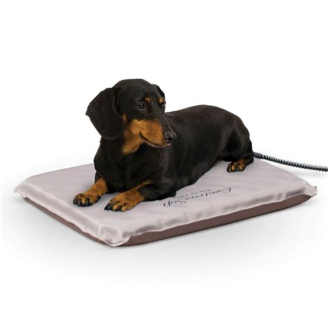 The Best Heated Dog Beds in 2023 | PawGearLab