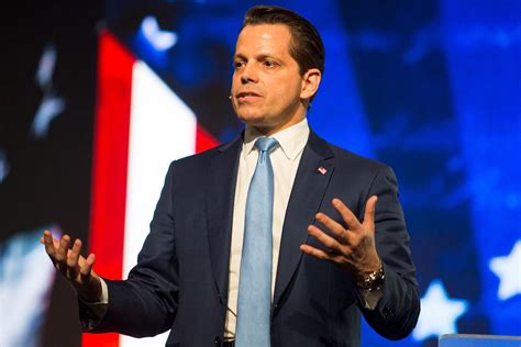 Anthony Scaramucci Net Worth 2024 - Ronny Cinnamon