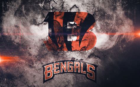 Bengals Wallpapers - Top Free Bengals Backgrounds - WallpaperAccess