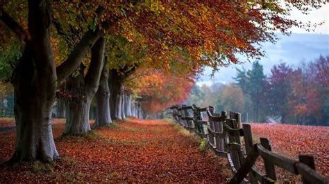 Autumn in the Cotswolds! - Cotswold Exploring