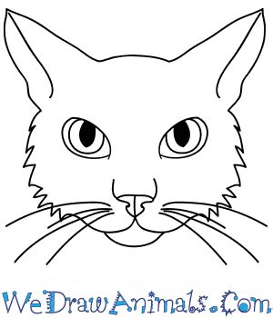 How To Draw A Cat Face Step By Step - img-Abimelech