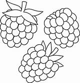 Raspberry Fruit Isolated Coloring Page For Kids 11487133 Vector Art At  sketch template