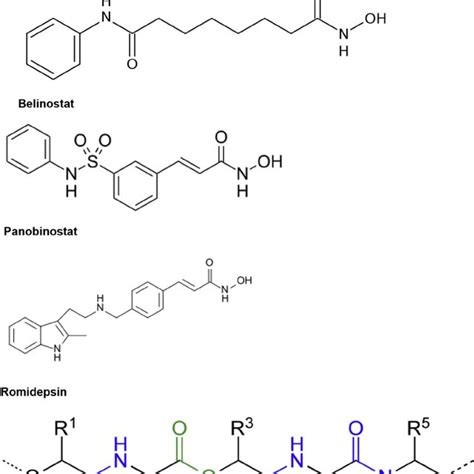 Chemical structures of histone deacetylase inhibitors. | Download ...