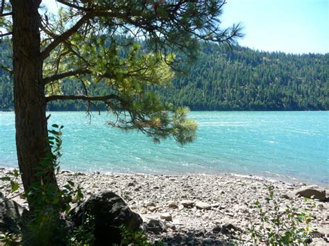 Rimrock Lake, Washington | rvsue and her canine crew