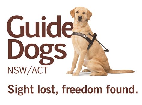 Guide Dogs NSW/ACT - Include A Charity