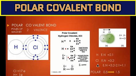 POLAR COVALENT BOND CONCEPTUALLY EXPLAINED WITH EXAMPLES | NI Concepts ...