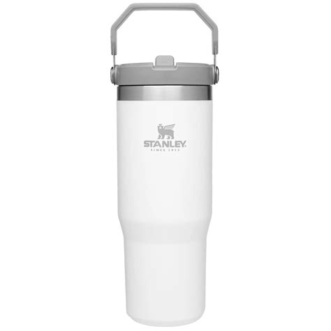 Stanley IceFlow Flip Straw Tumbler | 30 OZ – Campmor