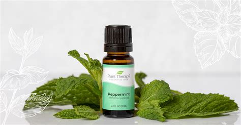 Peppermint Diffuser Blends – Plant Therapy