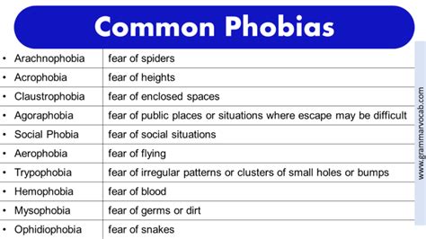 List of Phobias: Funny Phobias - Rarest Phobias -Weird Phobias | PDF ...