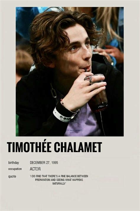 Polaroid poster timothée chalamet | Célébrités, Timothée chamalet, Idée ...