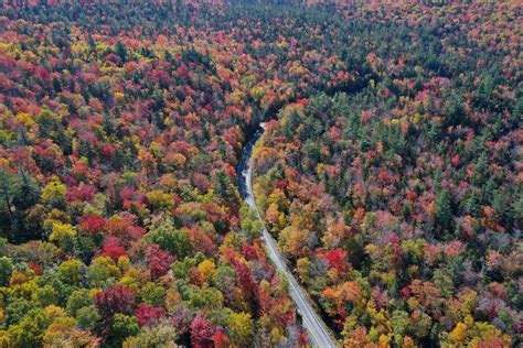 Best Roads to Travel for Michigan Fall Colors - Stroebel Automotive