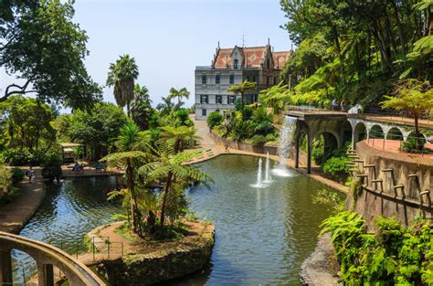 Monte Tropical Gardens with view of palace on lake, Funchal, Madeira island, Portugal - Image ...