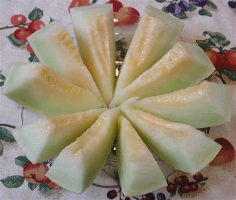 Juan Canary Melon: An All Creatures American International Vegetarian Vegan Recipe - cruelty ...