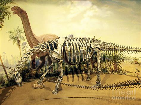 Drumheller Dinosaur Photograph by Ellen Cotton - Fine Art America