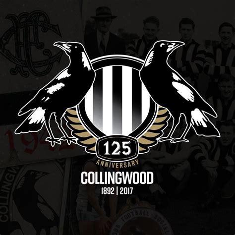 Collingwood Football Club Wallpaper / 140 Collingwood Football Club Ideas Collingwood Football ...