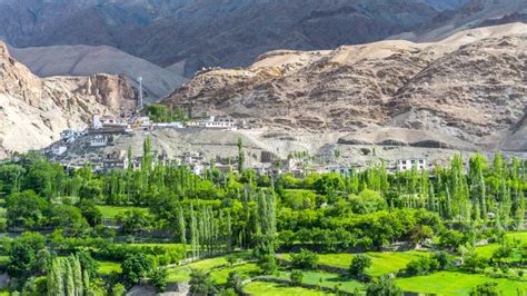 The Aryan Valley, Batalik Sector, Ladakh, India Stock Photo - Image of ...