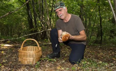 5 tips of Mushroom hunting