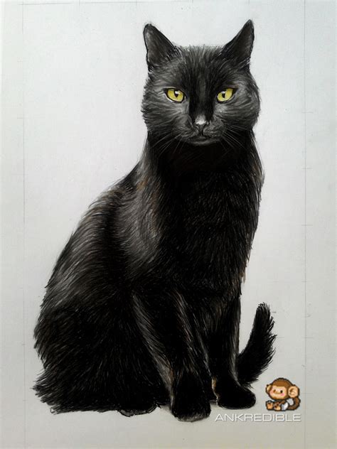 Cat (Color Pencil Drawing) by Ankredible on DeviantArt