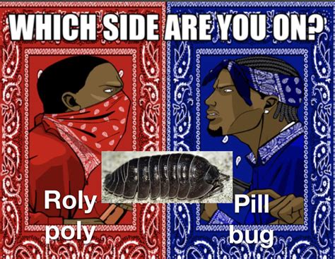 Red gang stand up | /r/memes | Which Side Are You On / Bloods vs. Crips | Know Your Meme