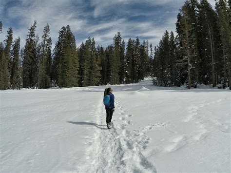 Yosemite Ski and Snowboard Area | Yosemite National Park Cross Country ...