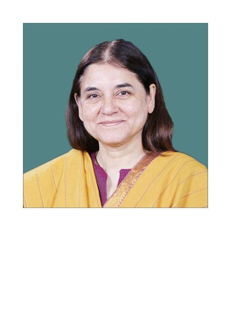 Maneka Gandhi Bjp - BJP's Maneka Gandhi SLAMS TikTok For Not following ...