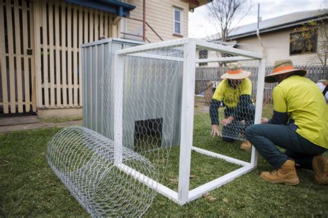 Diy Cat Fence - DIY Ideas