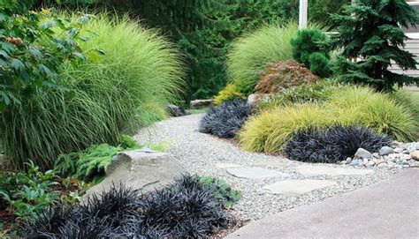 Pin by kolins on GARDEN IDEAS(садовые идеи) | Ornamental grass ...