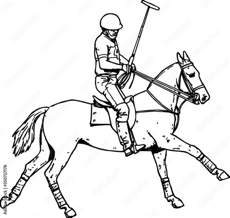 Old Drawing of a Polo Horse Stock Vector | Adobe Stock