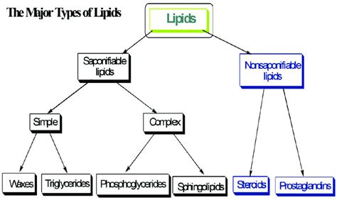 Major types of lipids: fatty acids come under triglycerides according ...