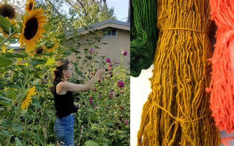 Natural Dyes, From Your Kitchen to New Mexican Plants with Molly Zimmer ...