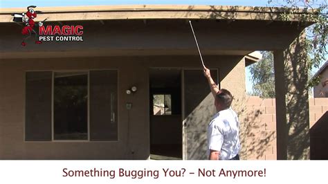 Arizona Termite | Free Termite Home Inspection | Magic Pest Control ...