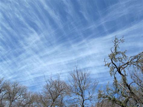 The Country Scientist: Cirrus clouds form beautiful patterns - San ...